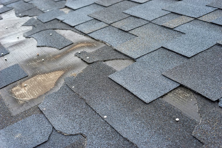 Avoid a Roof Replacement by Having Your Roof Inspected for These Issues