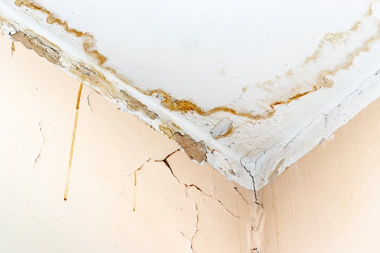 Immediate Roof Repair Service Will Prevent Severe Damage from a Roof Leak