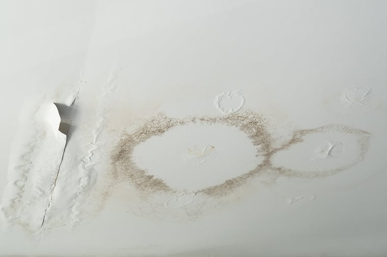 The Roof Leak Repair Contractors at First Quality Offer Service You Can Trust The Roof Leak Repair Contractors at First Quality Offer Service You Can Trust